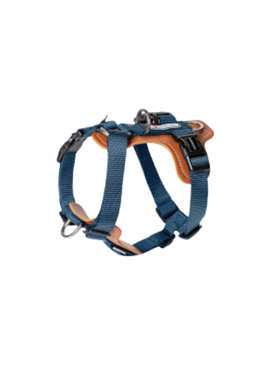 Dog Harness